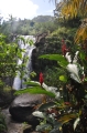 grenada, caribbean, west indie-135